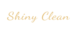Shiny Clean
